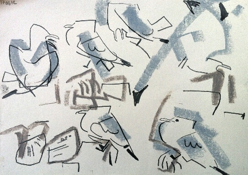 gulls - Kittiwakes, Dunbar