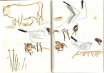 53‐4198 <b>black-headed gulls nesting</b>   A4 sketchbook ‐Greg Poole