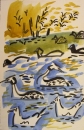 223‐7123 <b>gulls, grebes & coot</b>  gouache  ‐Greg Poole