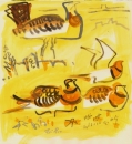 103‐5756 <b>pin-tailed sandgrouse & great bustard</b> extremadura, spain gouache 32 x 32 cms £POA‐Greg Poole