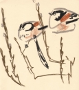 <b>long-tailed tits</b>   chew valley lake   wax crayon   32 x 28 cms   £POA‐Greg Poole