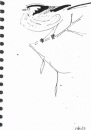 101‐5772 <b>long-tailed tit</b>   A5 sketchbook ‐Greg Poole