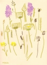 175‐6175 <b>common-spotted orchid, ox-eye daisy, goatsbeard</b> mendips wax crayon 38 x 28 cms £POA‐Greg Poole