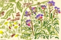 101‐6261 <b>pulmonaria</b> garden, bristol oil pastel 38 x 56 cms ‐Greg Poole