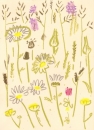 175‐6176 <b>common-spotted orchid, ox-eye daisy, goatsbeard</b> mendips wax crayon 38 x 28 cms £POA‐Greg Poole