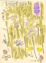 175‐6177 <b>common-spotted orchid, ox-eye daisy,buttercups</b> mendips wax crayon 38 x 28 cms £POA‐Greg Poole