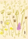 175‐6178 <b>common-spotted orchid, ox-eye daisy, goatsbeard</b> mendips wax crayon 38 x 28 cms £POA‐Greg Poole