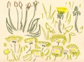 dandelions, daisies & plantain‐Greg Poole