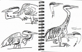 185‐6342 <b>grey heron</b>  permanent marker A5 sketchbook ‐Greg Poole