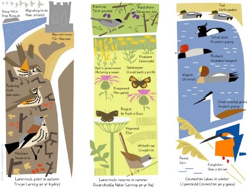 lavernock point, reserve & cosmeston lakes interpretation images