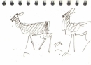 bl-015   <b>roe deer</b>  mendips   ink pen   A6 sketchbook  ‐Greg Poole