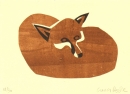 Fox sleeping‐Greg Poole