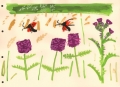 181‐6238 <b>burnet moths, betony & meadow thistle</b> bristol reservoirs gouache 28 x 38cms £POA‐Greg Poole