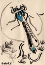 76‐4137 <b>blue-tailed damselfly</b>   A5 (14.5 x 21 cms) Â£POA‐Greg Poole