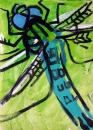 76‐4172 <b>hairy dragonfly</b>   38 x 28 cms Â£POA‐Greg Poole