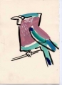 150‐4419 <b>indian roller</b>   A4 (29.7 x 21cms) Â£POA‐Greg Poole