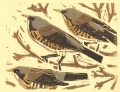 101‐5694 <b>fieldfares</b>   20 x 25 cms ‐Greg Poole