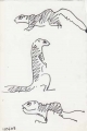 unstriped ground squirrel ‐ ink pen ‐ 18 x 12 cms ‐ £POA ‐     ethiopia‐Greg Poole