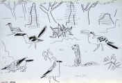 bush crows, ground squirrel, von der decken's hornbill & crowned plover ‐ ink pen ‐ 24 x 36 cms ‐ £POA ‐ ethiopia‐Greg Poole