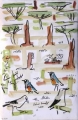 bush crows, starlings & ground squirrel ‐ gouache & wax crayon ‐ 36 x 24 cms ‐ £POA ‐     ethiopia‐Greg Poole