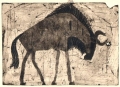 110‐6017 <b>wildebeest </b> kruger, south afrca monotype 24 x 36 cms SOLD‐Greg Poole