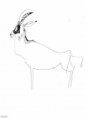 <b>sable antelope</b>     inkpen   A3   £POA‐Greg Poole