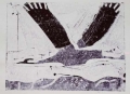 66‐3440 <b>flying crane</b>  monoprint c. A4 (21 x 29.7cms) ‐Greg Poole