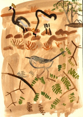 spectacled warbler & crowned cranes