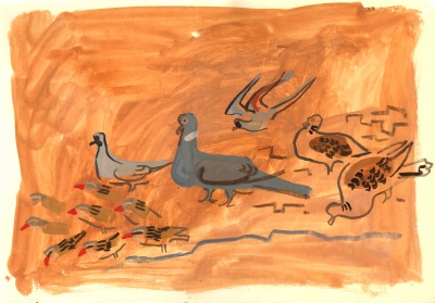 turtle, african mourning, namacqua doves & qualia