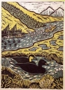 1‐4984 <b>common scoter</b>  woodcut 53 x 38 cms Â£POA‐Greg Poole