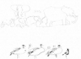 126‐4576 <b>elephants, egyption geese & plover</b>   A3 £POA‐Greg Poole